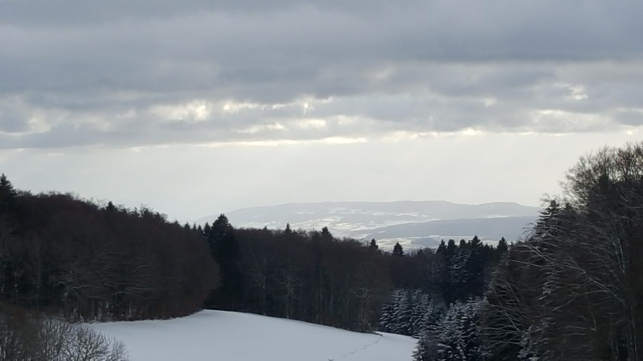Gasthof Zum Hirschen Hotell Strittmatt Exteriör bild